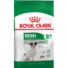 Royal Canin Dog Adulto Mini +8 anos